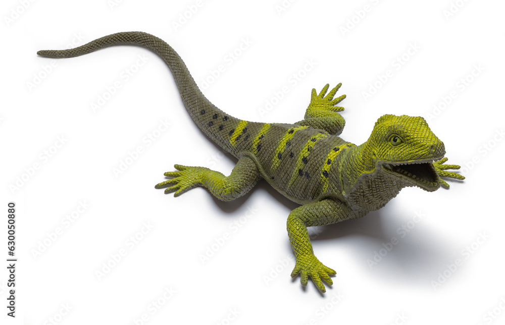 Obraz premium Lizard Toy