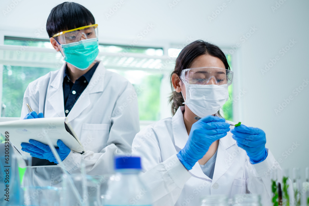 Close up look of Scientist is picking, working and testing a tissue of plants result of natural product and organic cosmetic health care. eco laboratory microbiology. Development and experiment test. Close up look of Scientist is picking, working and testing a tissue of plants result of natural product and organic cosmetic health care. eco laboratory microbiology. Development and experiment test.