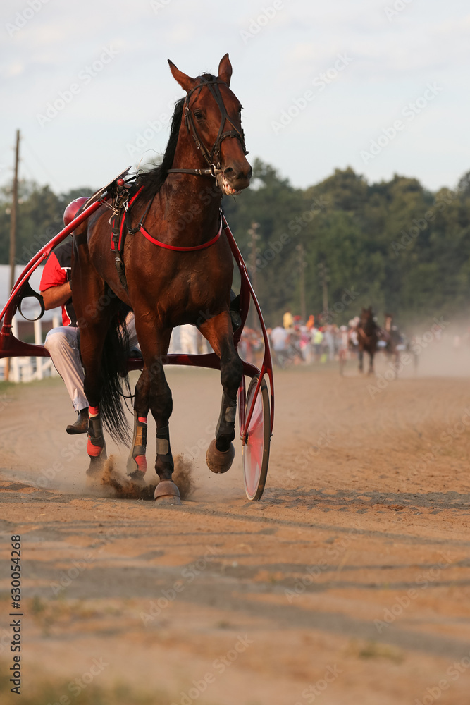 Horses and riders running at horse races Horses and riders running at horse races