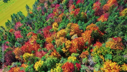 Bavarian Autumn Aerials: Cinematic Drone Footage of Colorful Trees