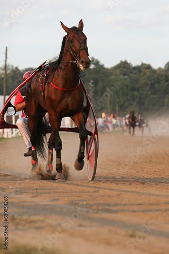 Horses and riders running at horse races