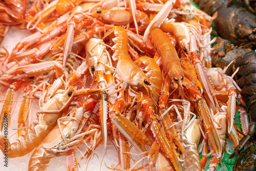 Close up shot of a lot of red fresh crustacean shrimps on ice at the street market.