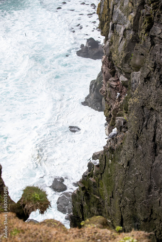 View of ocean from a cliff in Iceland