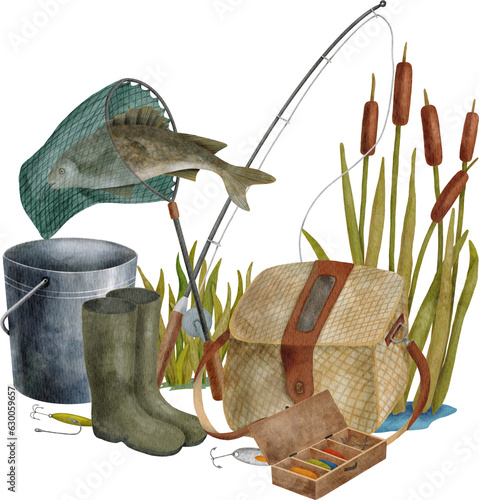 Watercolor fishing tackle illustration. Hand drawn fishing rod, landing net, creel, reed plant, bucket of fish isolated on transparent background. Angling hobby illustration, outdoor summer sport