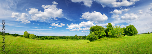 Beautiful panoramic background of the green field in natural park. © candy1812
