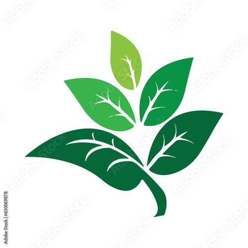 green leaf icon
