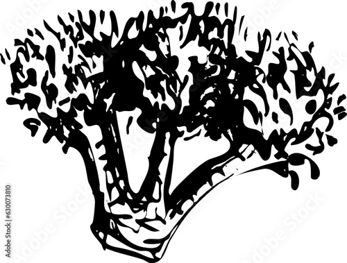 Broccoli ink line vector illustration 