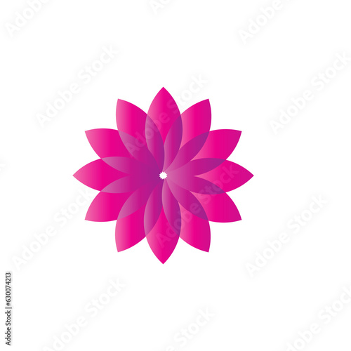 pink and white flower