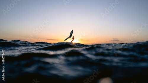 Wingsurfer having evening foil session in Red Sea, Egypt.