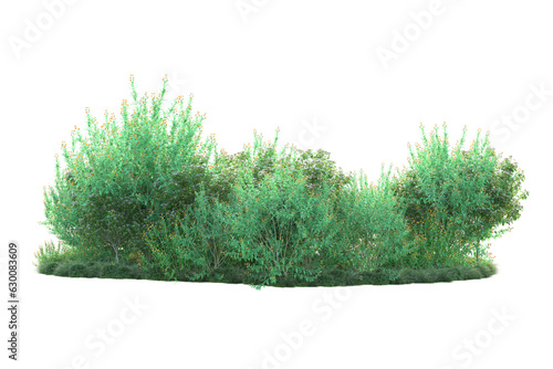Fototapeta Naklejka Na Ścianę i Meble -  Green landscape isolated on transparent background. 3d rendering - illustration