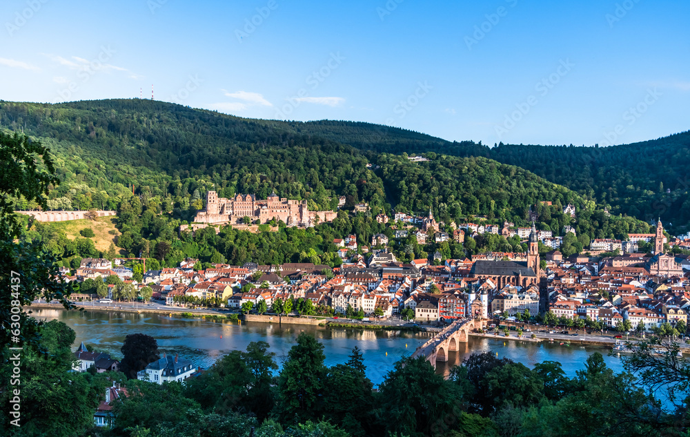 View of German city Heidelberg with castle and old city on a sunny summer evening