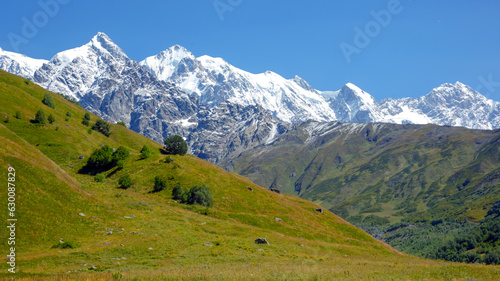 landscape of green grass and snowy mountains. Trekking and travel in Georgia © photosaint