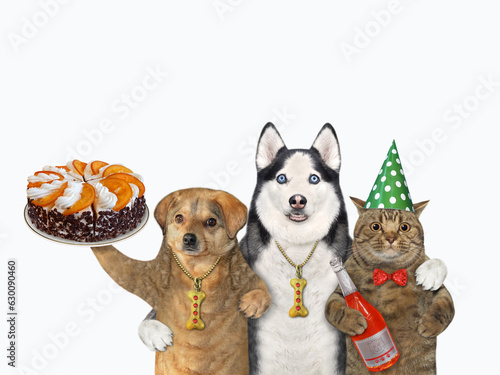 Fototapeta Naklejka Na Ścianę i Meble -  Two dogs and cat with cake