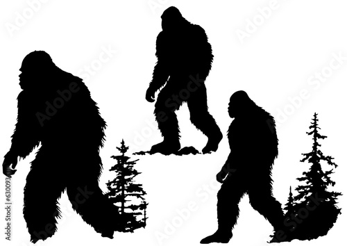 Yeti