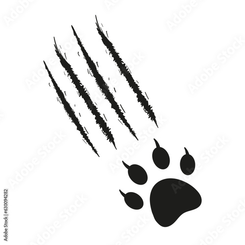 Cat s paw print with traces of scratches and claws. Feline footprint silhouette. Claws scratch scratch. Black and white vector isolated on white background. Design for animal print, banners, posters