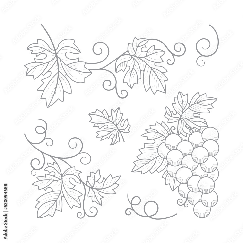 Grape bunch, grape vine and leaves. A hand-drawn vineyard elements outline vector illustration, captured in an elegant monochrome vintage style. Part of set. Grape bunch, grape vine and leaves. A hand-drawn vineyard elements outline vector illustration, captured in an elegant monochrome vintage style. Part of set.