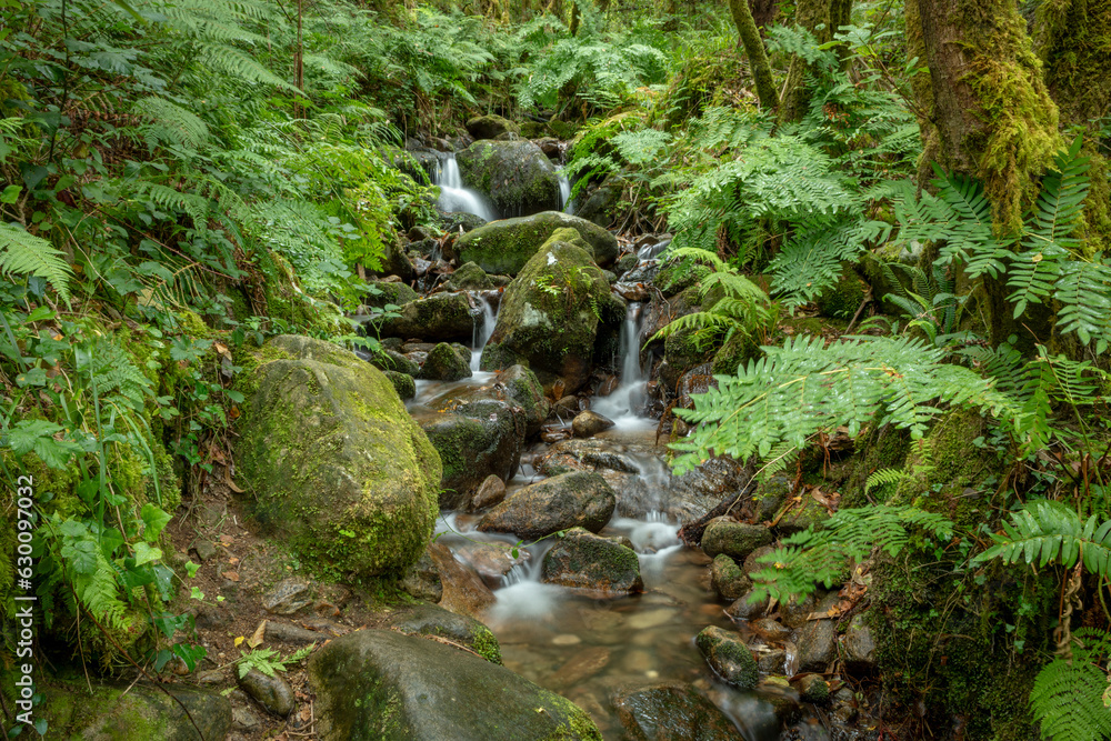 Waterfall of the river Eume in the natural park of the Fragas del río Eume, La Coruna, Galicia, Spain Waterfall of the river Eume in the natural park of the Fragas del río Eume, La Coruna, Galicia, Spain