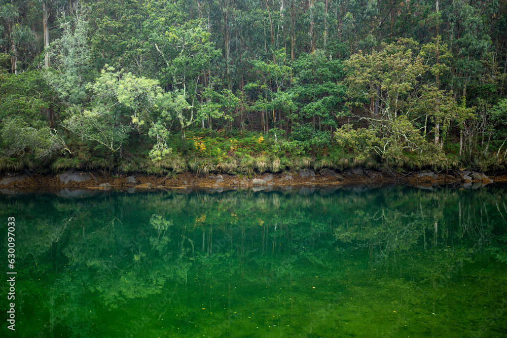 Idyllic landscape of the Eume river with crystal clear and calm waters reflecting the exuberant vegetation Idyllic landscape of the Eume river with crystal clear and calm waters reflecting the exuberant vegetation