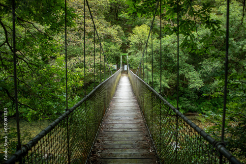 Suspension bridge over the river Eume in the natural park of the Fragas del río Eume, La Corua, Galicia, Spain