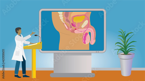 Man in lecture about the mens reproduction system and penis.  Gesturing and standing in front of big modern screen for education. Dimension 16:9. Vector illustration.