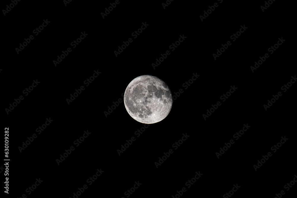 Fototapeta premium Lua - Moon