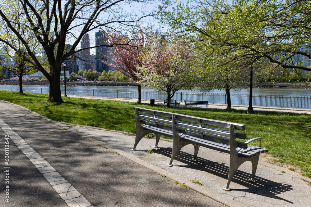 Empty Bench along a Path at Rainey Park during Spring in Astoria Queens New York