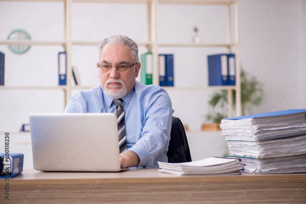 Old male employee working in the office Old male employee working in the office