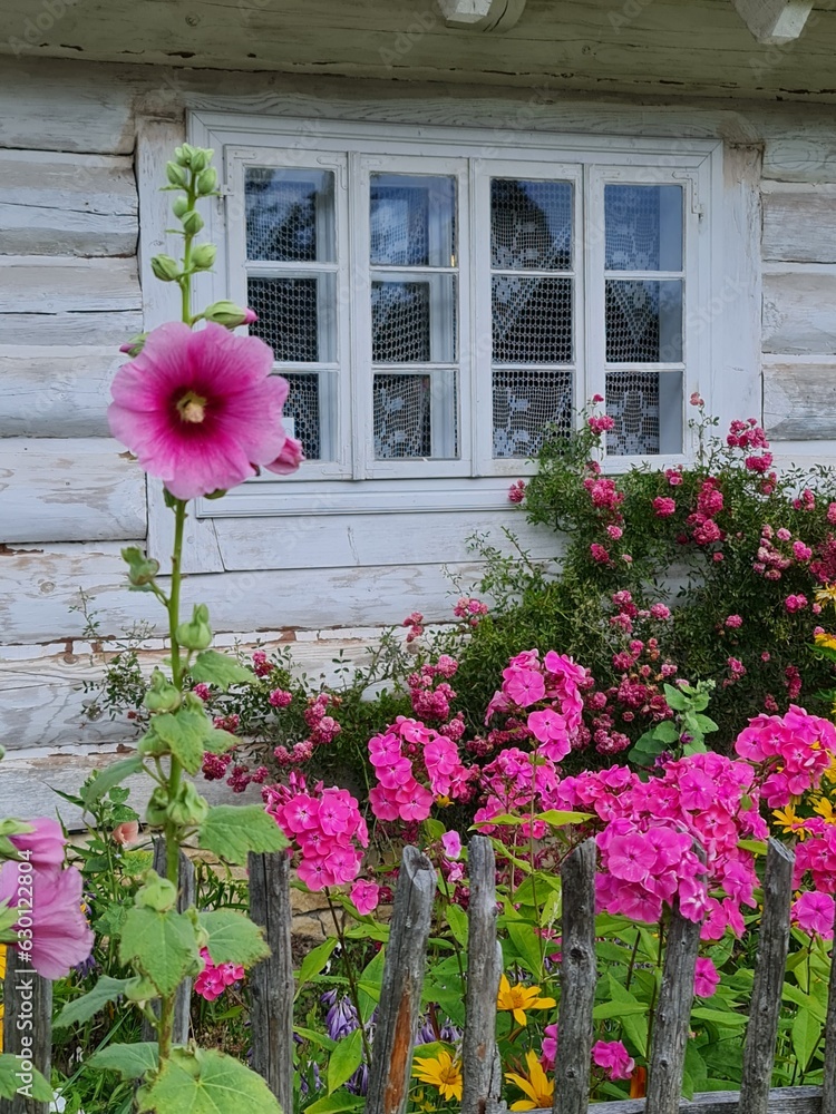 pink flowers in front of a house