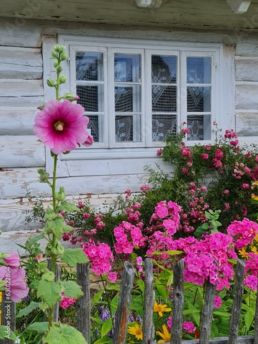 pink flowers in front of a house