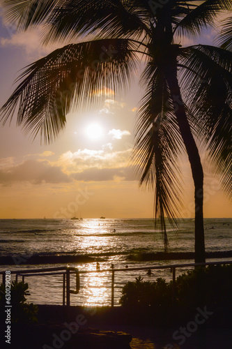 A Hawaiian Sunset.