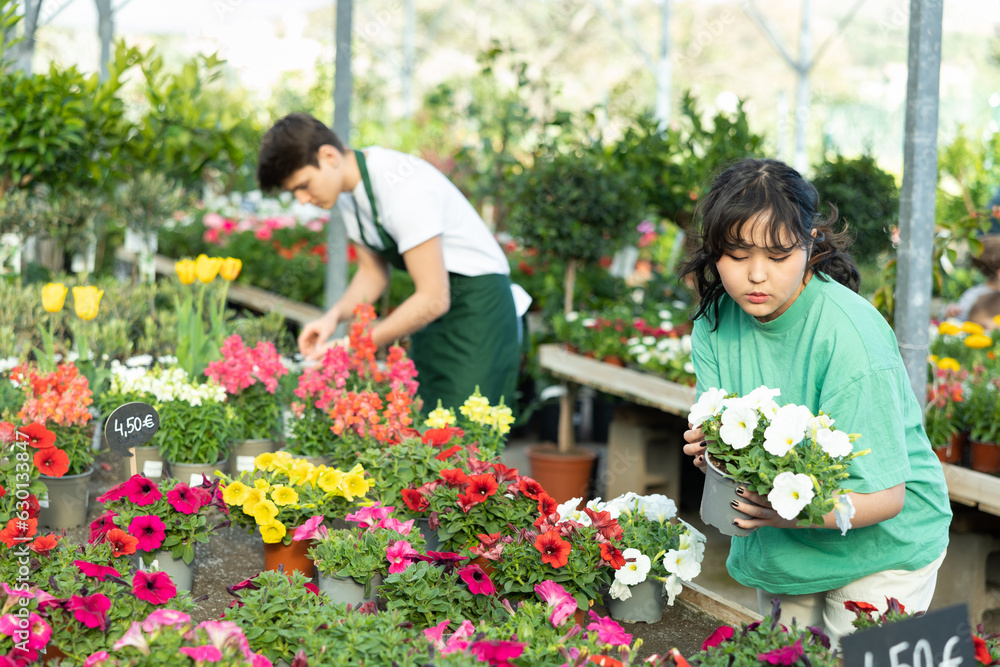 Interested young asian girl choosing blooming potted petunias with bright colorful flowers in garden store