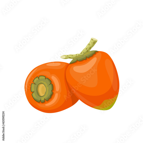 Vector illustration, Chontaduro or Bactris gasipaes, isolated on white background.