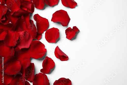 Fototapeta Naklejka Na Ścianę i Meble -  Beautiful red rose petals on white background, top view