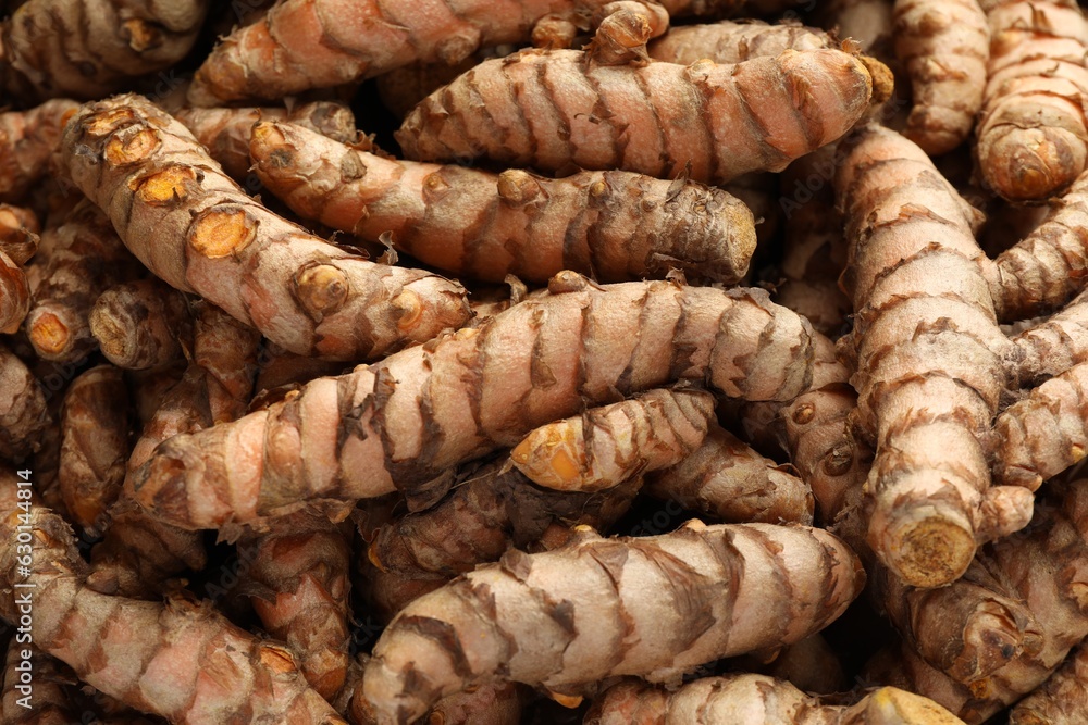 Many raw turmeric rhizomes as background, closeup Many raw turmeric rhizomes as background, closeup