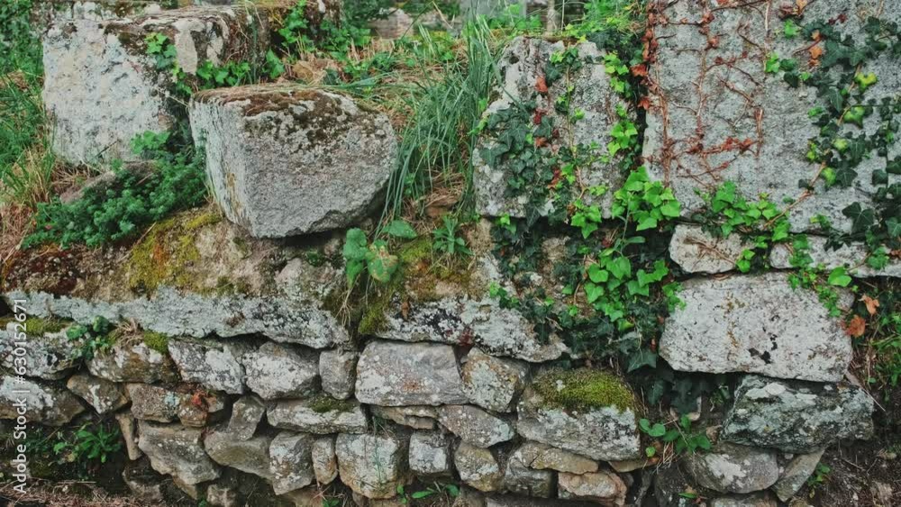 Remains of Ancient Roman Granite Block Stone Wall Overgrown with Evergreen Ivy Plant Remains of Ancient Roman Granite Block Stone Wall Overgrown with Evergreen Ivy Plant
