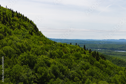 vue sur le sommet d'une montagne avec une forêt dans la vallée lors d'une journée grise d'été photo