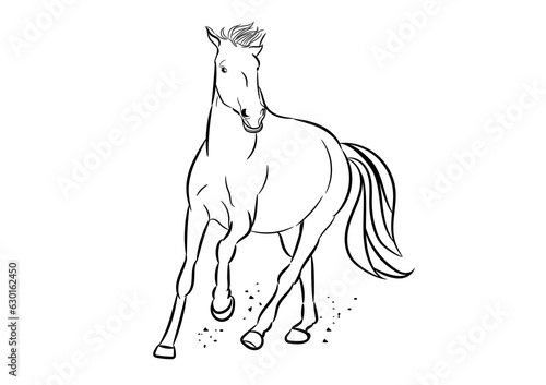 graphics image drawing horse running  outline stroke line illustration transparency