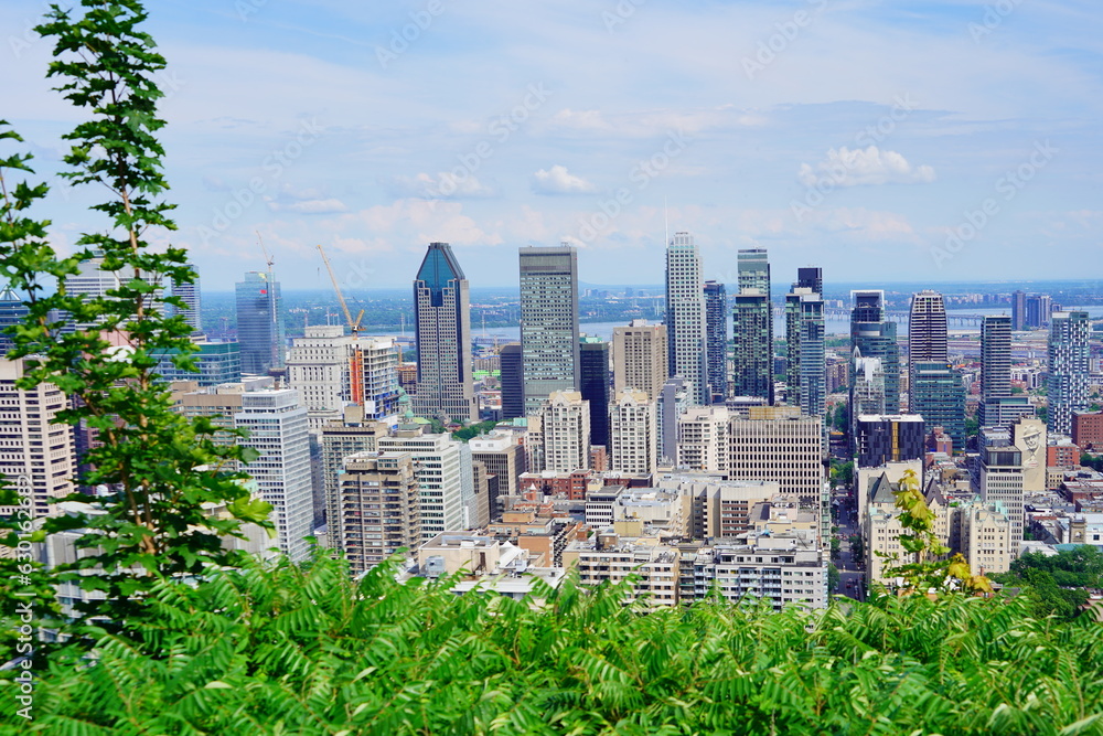 Fototapeta premium Montreal, Quebec Canada -07 12 2023: Aerial view of Montreal downtown from Royal Mount 
