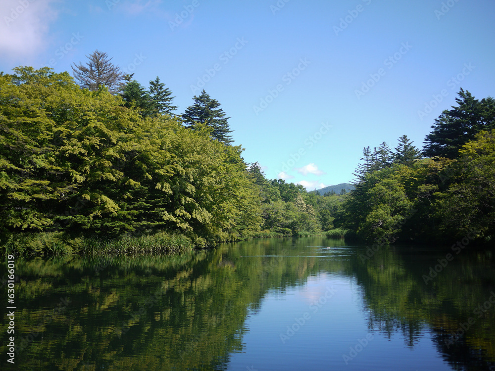 Kumobaike pond and trees in Japan Karuizawa 