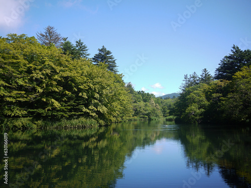Kumobaike pond and trees in Japan Karuizawa 