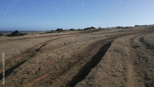 Low flyover: Two hikers on dirt road on Mahana grassland shore, Hawaii photo