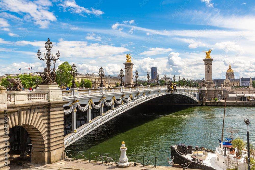 Obraz premium Bridge Pont Alexandre III in Paris, France