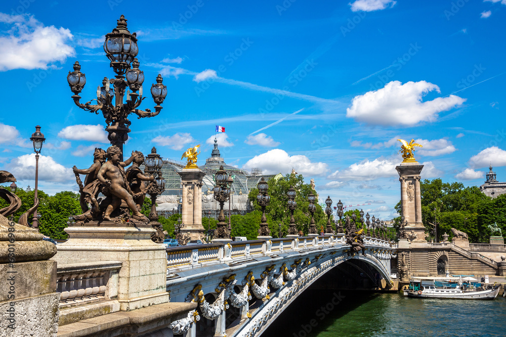 Obraz premium Bridge Pont Alexandre III in Paris, France
