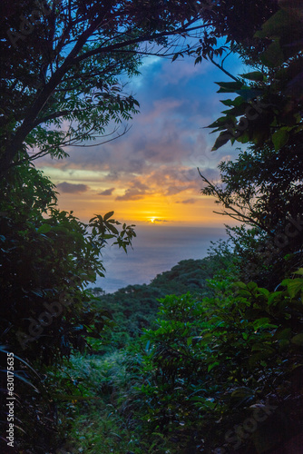 奄美の夕景