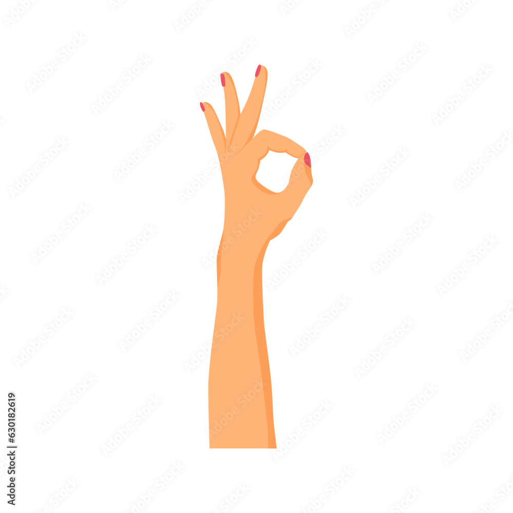 Fototapeta premium hand gesture with ok sign