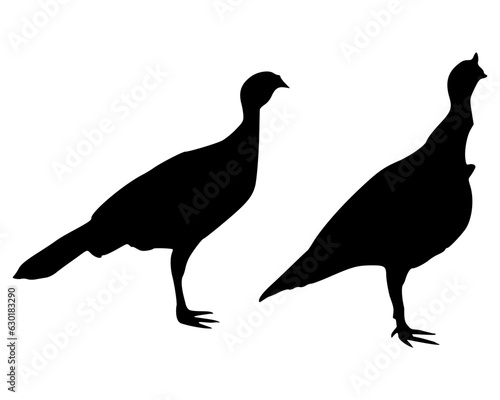 Pute Silhouette 