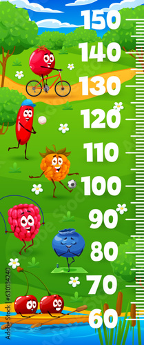 Kids height chart, cartoon cheerful berry characters on summer meadow, vector growth meter. Raspberry, blueberry and cherry playing on summer vacations, baby tall measure ruler or height chart
