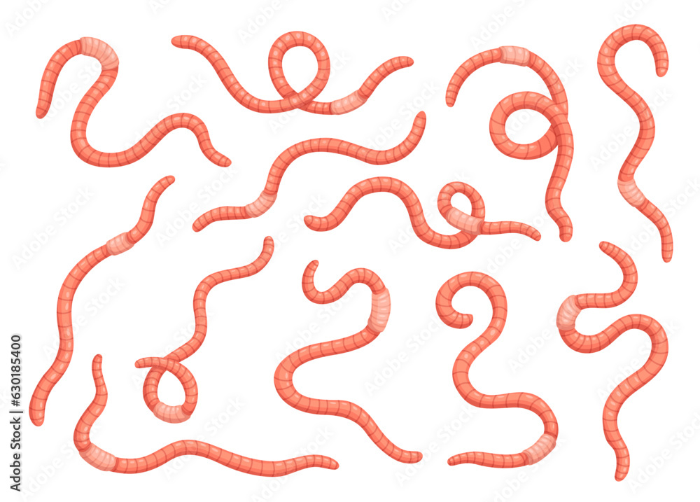 Cartoon worms or soil earthworms, garden ground insects. Vector earth worms and red wigglers set with slimy animals. Organic farm insects for compost production, fishing baits and bio manure themes Cartoon worms or soil earthworms, garden ground insects. Vector earth worms and red wigglers set with slimy animals. Organic farm insects for compost production, fishing baits and bio manure themes