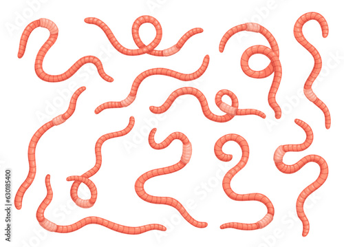 Cartoon worms or soil earthworms, garden ground insects. Vector earth worms and red wigglers set with slimy animals. Organic farm insects for compost production, fishing baits and bio manure themes