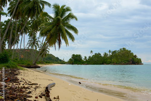 untouched beach  with coco palms on sandy beach and blue sea. Summer vacation and tropical in west sumatra indonesia © Nanda